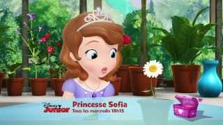 La série du mois de janvier  Princesse Sofia  Tous les mercredis à 18h15 [upl. by Sheree]