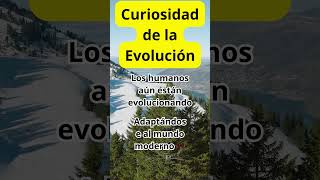 Experto en evolución revela los impactantes secretos de la vida [upl. by Amethist]