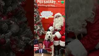 Petsmart santaphoto lulu holidays rescuedogs funnydogs [upl. by Elman726]