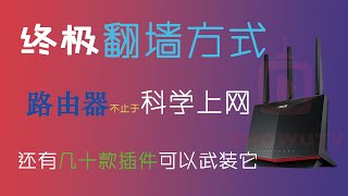 路由器翻墙｜路由器梅林固件科学上网lite插件Clash小猫咪插件安装使用教程｜路由器科学代理｜实现真正全家出国 [upl. by Haseefan]