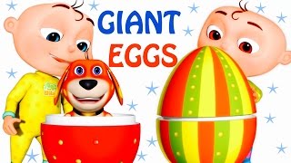 Five Little Babies Opening Giant Eggs  Zool Babies Fun Songs  Five Little Babies Collection [upl. by Naesad]