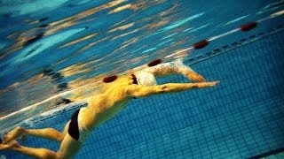 natation éducatif papillon bras gauche  bras droit  les 2 bras [upl. by Asilrahc]