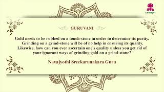 Today’s Guruvani  English  17112024  Santhigiri Ashram  Daily [upl. by Shere751]