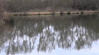 MOUSEHOLE LAKES NETTLESTEAD NEAR PADDOCK WOOD KENT [upl. by Kolb]