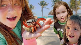 WE FOUND HERMiT CRABS Beach Animals Sand Castles and Playing in the Pool with Adley Niko amp Navey [upl. by Evilo]