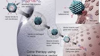 BETATHALASSEMIA PATIENT SUCCESSFULLY RESPONDS TO LENTIVIRAL GENE THERAPY NEWS UPDATE [upl. by Meesan713]