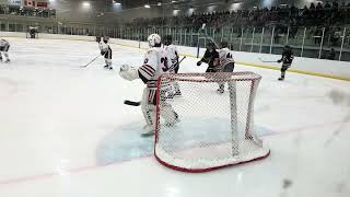 Alliston Hornets goals [upl. by Ressay14]