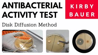 Antibacterial Activity Test by Disk Diffusion MethodA Complete Procedure Kirby and Bauer Method [upl. by Fenwick]