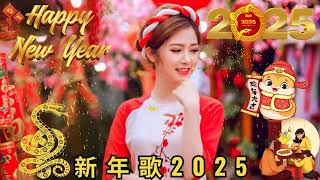 2025恭賀新春 💖Chinese New Year Songs 2025【新年老歌】40首传统新年歌曲 💥 台语新年歌 Lunar New Year 2025 [upl. by Tarrance]