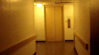 Otis Traction Service Elevators at Doubletree by Hilton Hotel Greenway Plaza Houston TX [upl. by Tacklind]