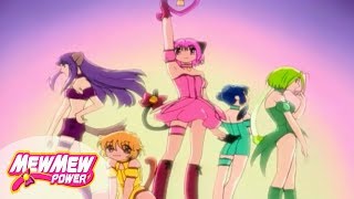 Mew Mew PowerEpisode 1 The Main Mews Muse English [upl. by Atinav29]