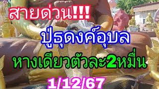 โค้งสุดท้ายพระธุดงค์หางเดียวอุบลดังข้ามประเทศ11267 [upl. by Paresh661]