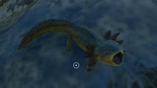 Planet Zoo Conservation Pack Axolotl [upl. by Gentry201]