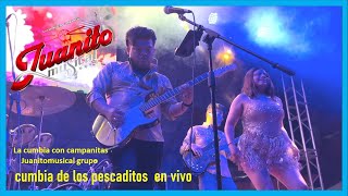 CUMBIA DE LOS PESCADITOS DESDE OAXACA  JUANITOMUSICAL EN VIVO [upl. by Boles]