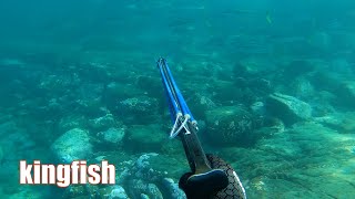 Spearfishing Illawarra Wollongong Port Kembla Shellharbour Kiama Bass Point Kingfish etc  EP1 [upl. by Dihaz]