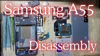 Samsung A55 Disassembly [upl. by Frager]