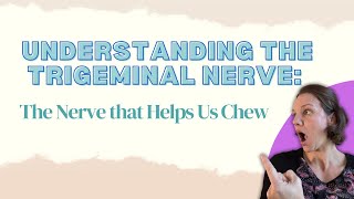 Understanding the Trigeminal Nerve The Nerve that Helps Us Chew [upl. by Silbahc564]