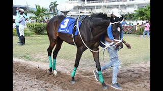 JAMAICA RACING Funometer At 41 In Sun Sept 15 2024 6th [upl. by Pentheam]