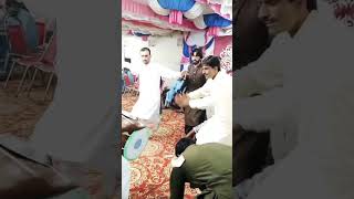 Wedding Malik Aqid Shezad saraiki dance doll master new video 2024 youtubeshorts newviralvideo [upl. by Eanad554]