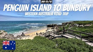 Day 1 Penguin Island to Bunbury  Western Australia Road Trip from Perth [upl. by Adidnac133]