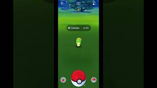 I Caught Caterpie in Pokemon Go Shorts PokemonGo Caterpie [upl. by Tobie]