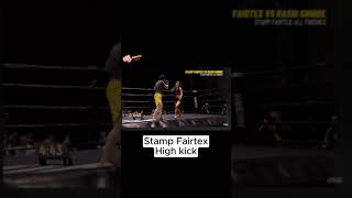 Stamp Fairtex high kick [upl. by Ayad]