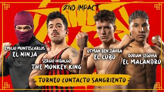 CONTACTO SANGRIENTO  Previa Dogfight Wild Tournament 2nd Impact [upl. by Eerased531]