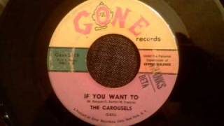 Carousels  If You Want To  Early 60s Doo Wop Ballad [upl. by Nomi841]