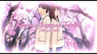 AnimaMV  Kimi no Suizou wo Tabetai [upl. by Alisander]