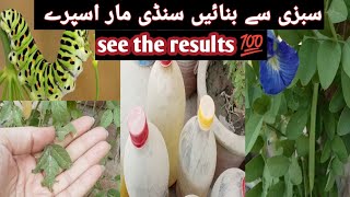 Organic pesticides for all types of plants  Best insect killer for your house plants UrduHindi [upl. by Ahseret]