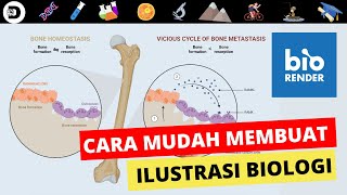 TUTORIAL CARA MEMBUAT MEDIAGAMBARILUSTRASIPOSTER BIOLOGI DENGAN BIORENDER  DIRGA BIOLOGY CHANNEL [upl. by Greff]