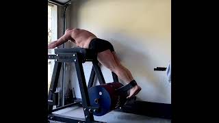 Reverse Hyperextensions For A Lower Back of Steel bodybuilding [upl. by Nyrret]