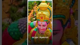 Maruthamala Sathiyama un arupadaiyum shanmuga ll Murugan songs Tamil ll HF Tamil shorts [upl. by Noet]