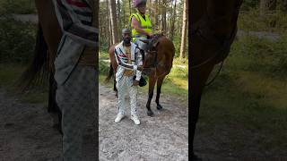 ukartist ukmusic rinsamalonehorsewalking horse horses horsesofinstagram rap singers [upl. by Moncear]