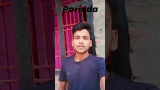 parinda song reels video shortsfeed shanivlog comedy comedykingshani viral trendingshorts [upl. by Elsa645]