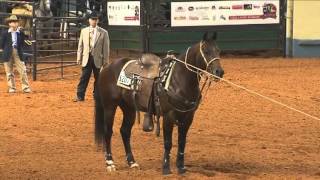 2012 AQHA World Championship Show Part 2 [upl. by Shena]