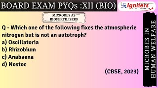 Which one of the following fixes the atmospheric nitrogen but is not an autotroph a Oscillatori [upl. by Leunam235]