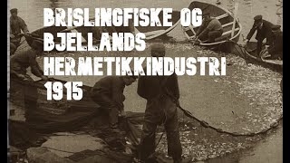 Brislingfiske og film fra Bjellands Hermetikkfabrikk 1915 Norwegian Sardine and Anchovy Industry [upl. by Ojadnama]