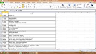 Importation du plan comptable du Excel vers Sage [upl. by Nibbor]