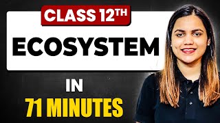 ECOSYSTEM in 71 Minutes  Biology Chapter 14  Full Chapter Revision Class 12th [upl. by Leoy]