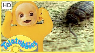 ★ Teletubbies English Episodes ★ Woodlice ★ Full Episode  HD S08 E201 [upl. by Lukey]