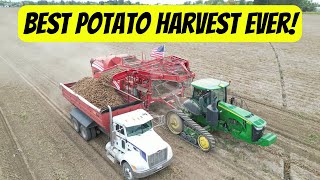 Best potato harvest ever 2023  How potato harvest works [upl. by Natala]