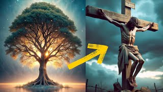 I studied the Tree of Life Now I know why Jesus had to die on a tree [upl. by Anomas]