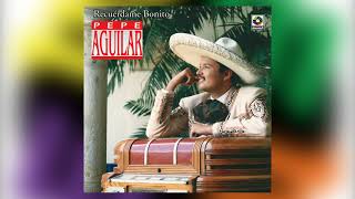 El Precio  Pepe Aguilar  del Álbum Recuérdame Bonito [upl. by Assela346]