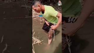 TRYPOPHOBIA TEST Vol1 trypophobia shorts viral trending [upl. by Lyred359]