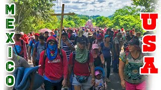 CARAVANA MIGRANTES [upl. by Douglass361]