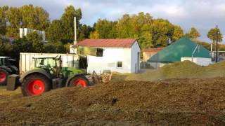 Mais Ernte 2013 häckseln für Biogasanlage Hennenweidach Teil 2HD [upl. by Ma]