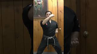 Blocking Set 1 in Kenpo Karate  Yellow Belt Kenpo Requirements kenpo kenpokarate martialarts [upl. by Sonitnatsnok]