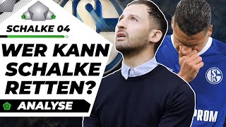 Wieso Schalke gegen den Abstieg kämpft  Analyse [upl. by Aidahs]