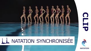 Grâce et Performance  La Natation Synchronisée par lEquipe de France  CLIP [upl. by Alyson999]